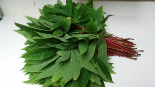 Fresh Cassava Leaves, 1lb