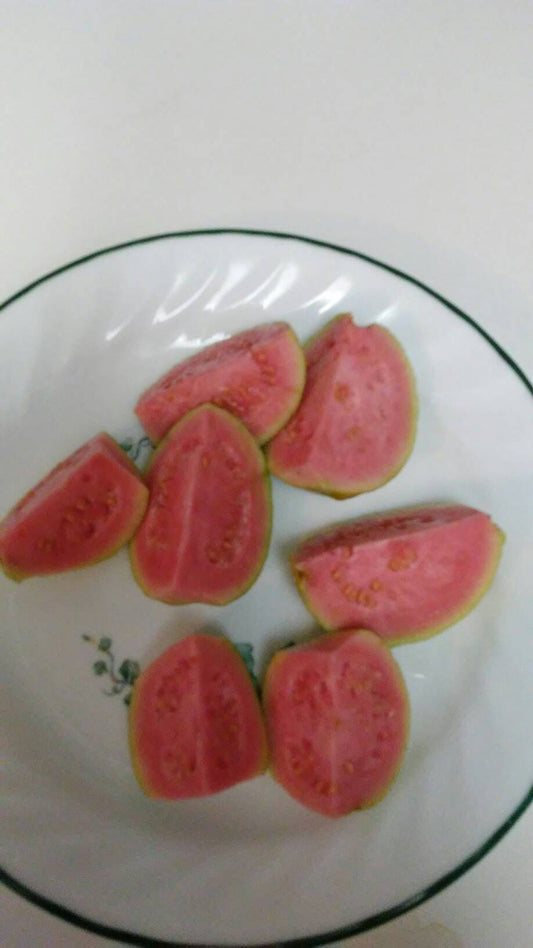 Pink Guava Seeds,100 Seeds