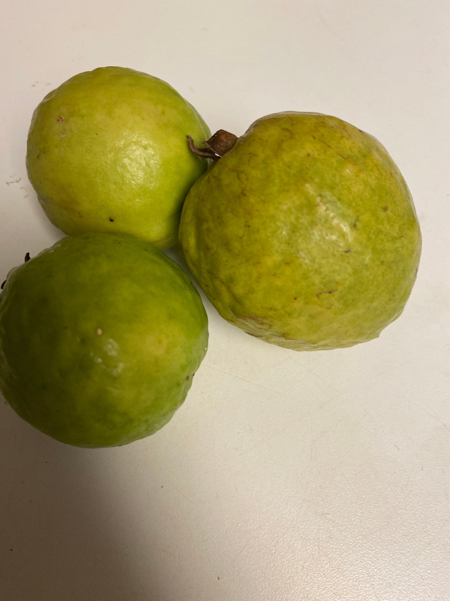 50 Pink Guava Seeds