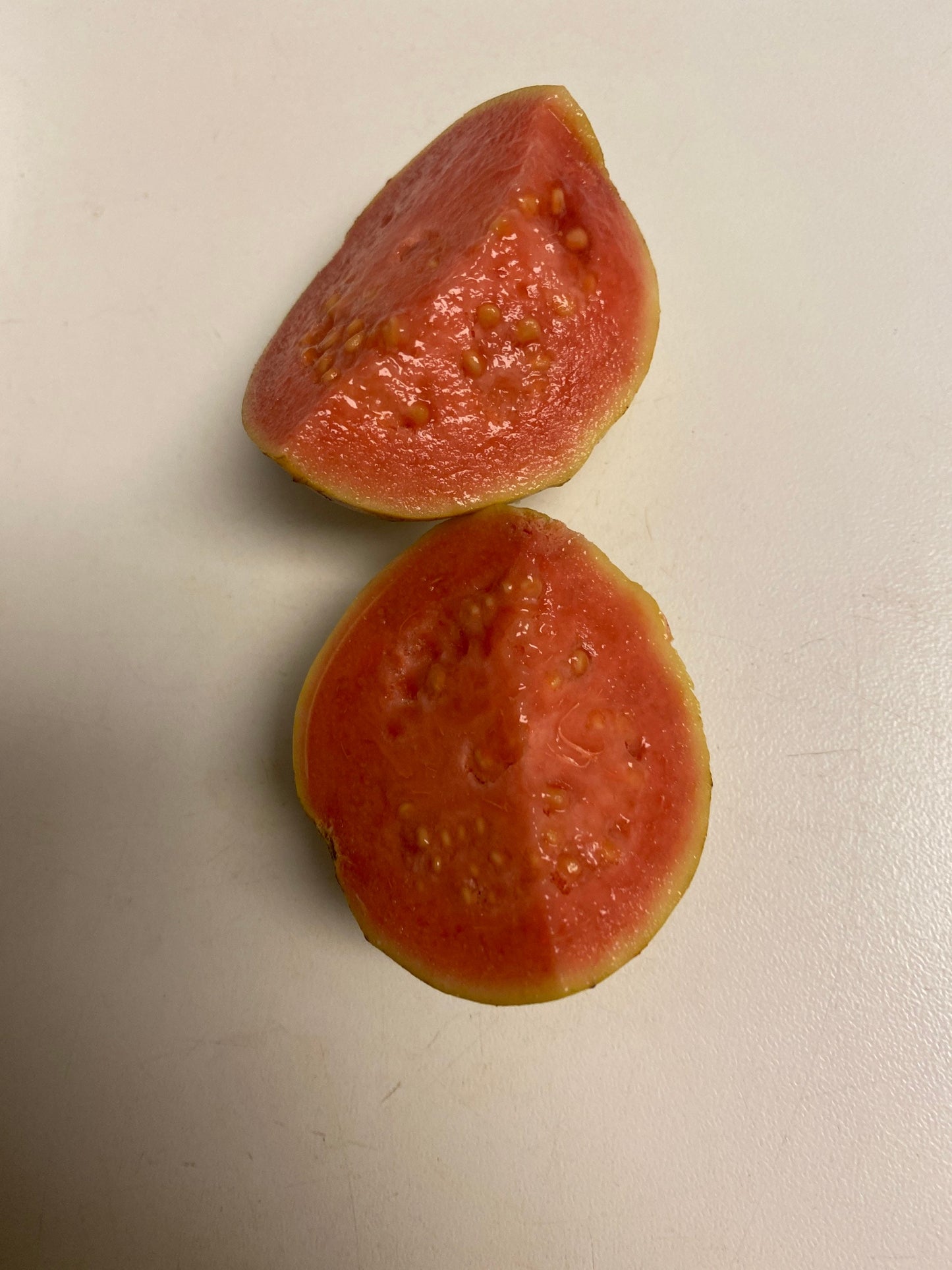 50 Pink Guava Seeds