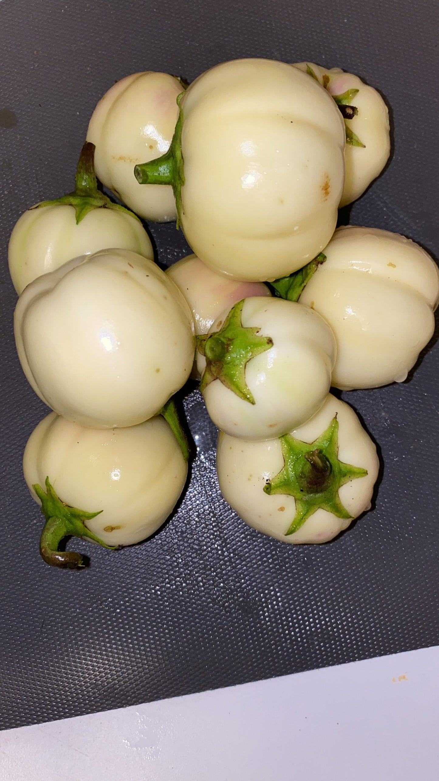 African eggplant, Thai eggplant seeds