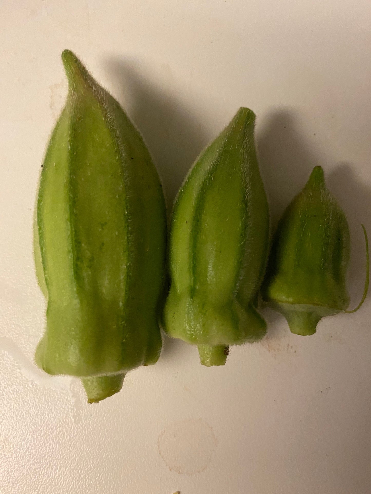 African Okra or Okro , Abelmoschus esculentus, Authentic Ghana okra, 15 Seeds