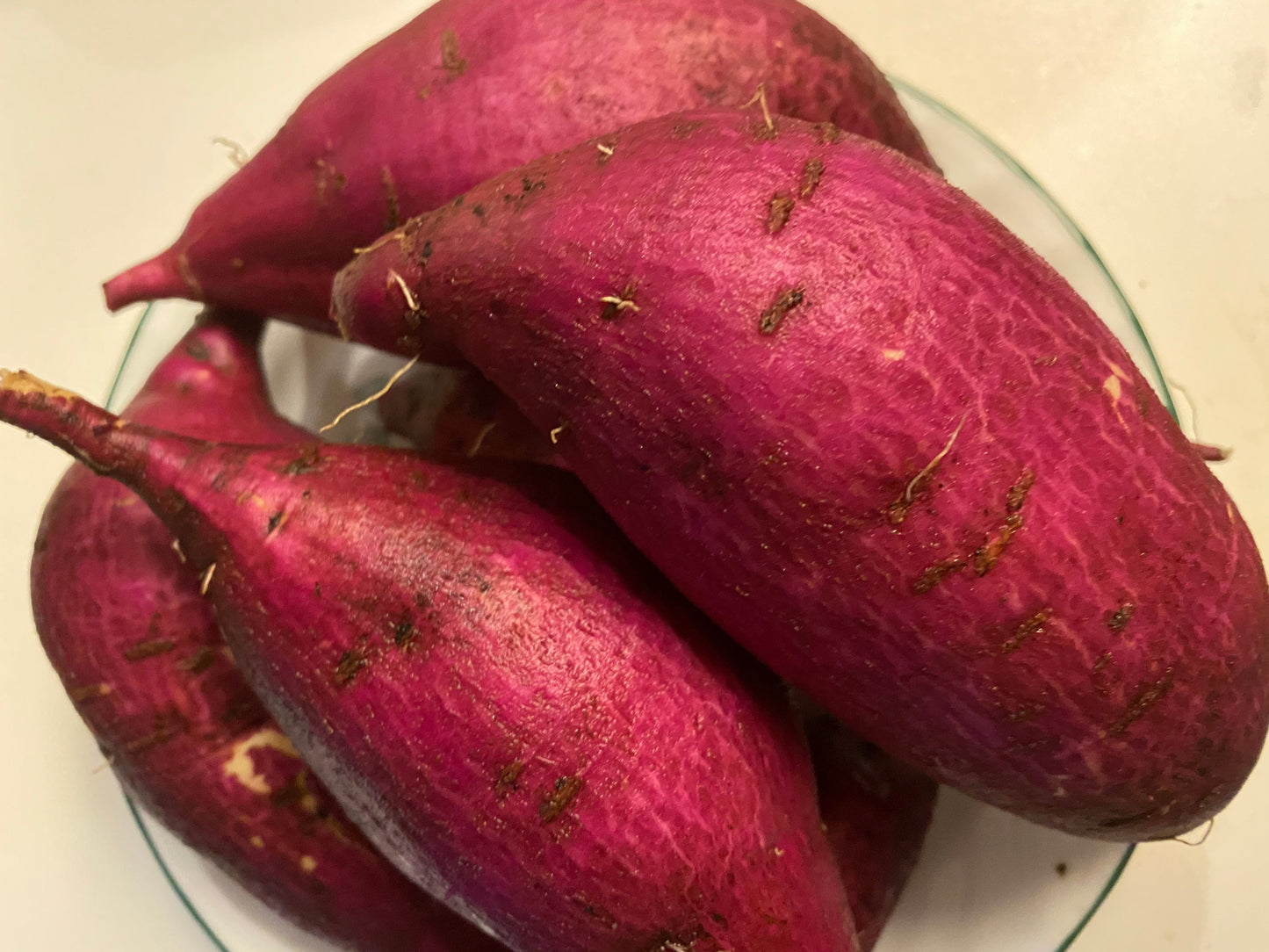 Japanese Potato Cuttings, 10 cuttings