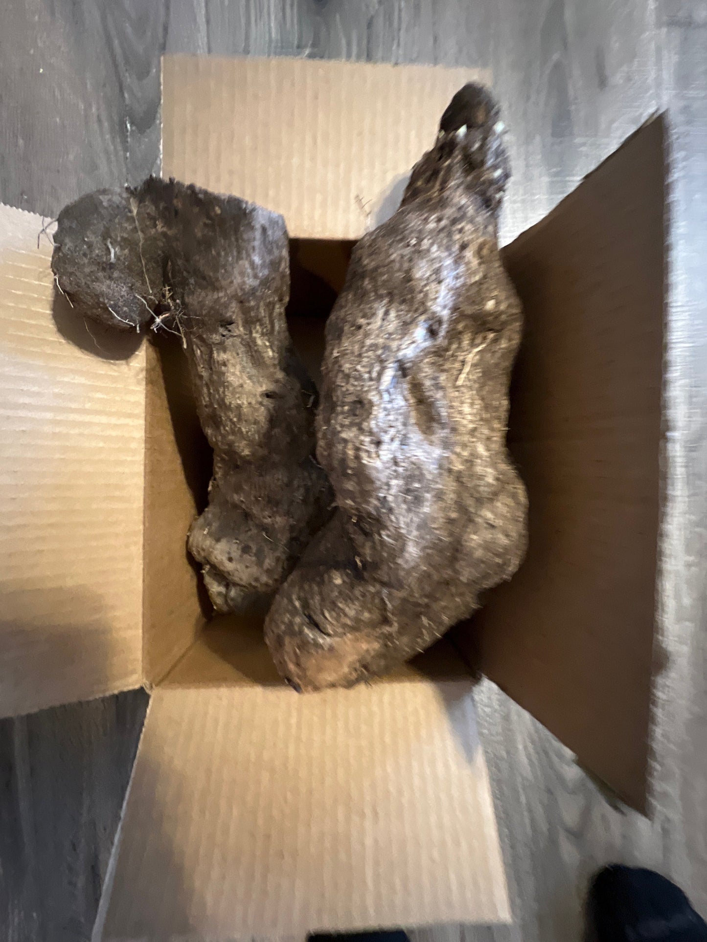 African Yam, Jamaican Yam